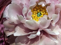 新聞｜我公司當選河南省人民對外友好協會理事單位，創始人李治國當選理事并接受河南日報與河南衛視的采訪。